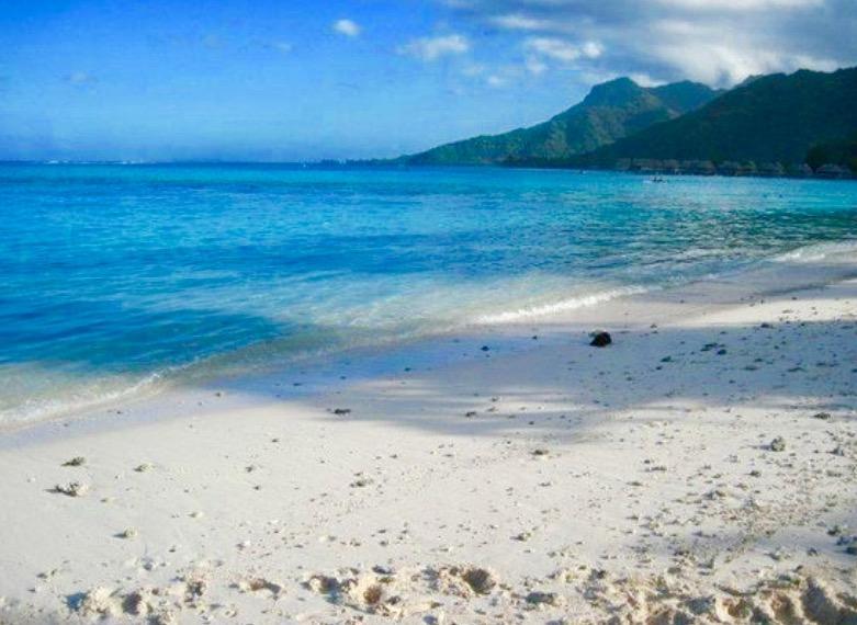 فندق Teavaroفي  Fare Maeva Moorea المظهر الخارجي الصورة