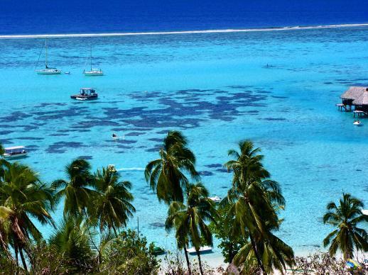 فندق Teavaroفي  Fare Maeva Moorea المظهر الخارجي الصورة