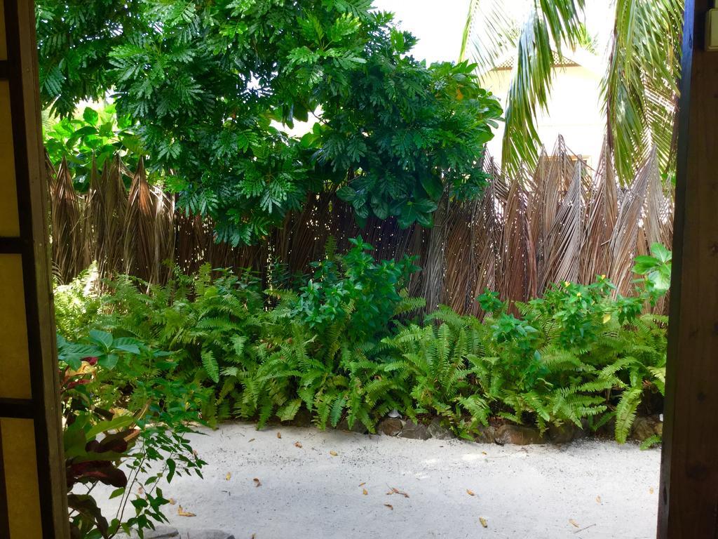 فندق Teavaroفي  Fare Maeva Moorea المظهر الخارجي الصورة