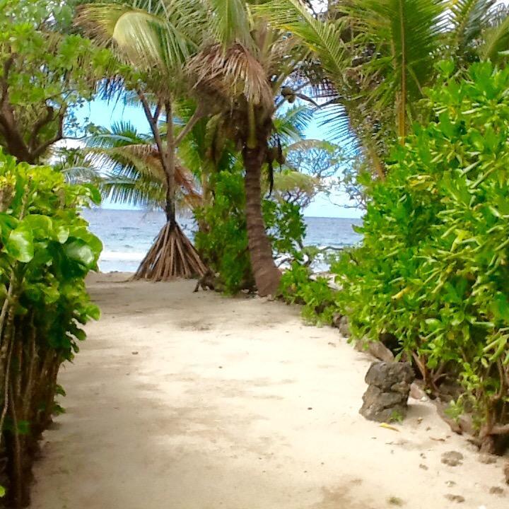 فندق Teavaroفي  Fare Maeva Moorea المظهر الخارجي الصورة